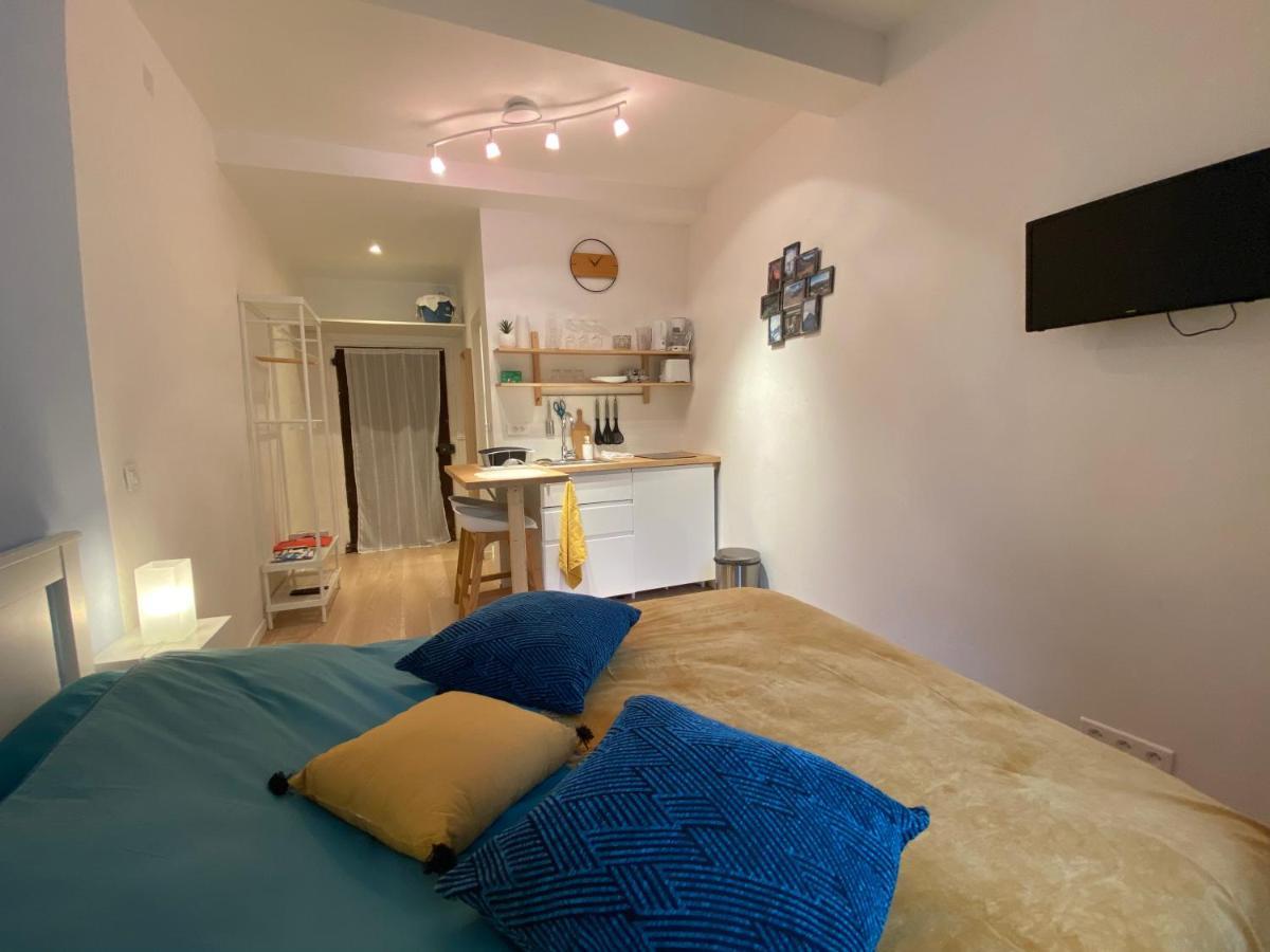 Studio Tres Agreable Proche De Auron Saint-Étienne-de-Tinée Zewnętrze zdjęcie